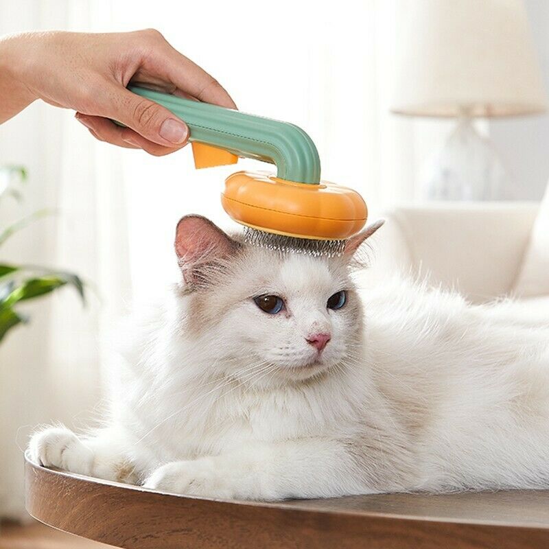 The Ultimate Grooming Experience for Your Furry Friends!