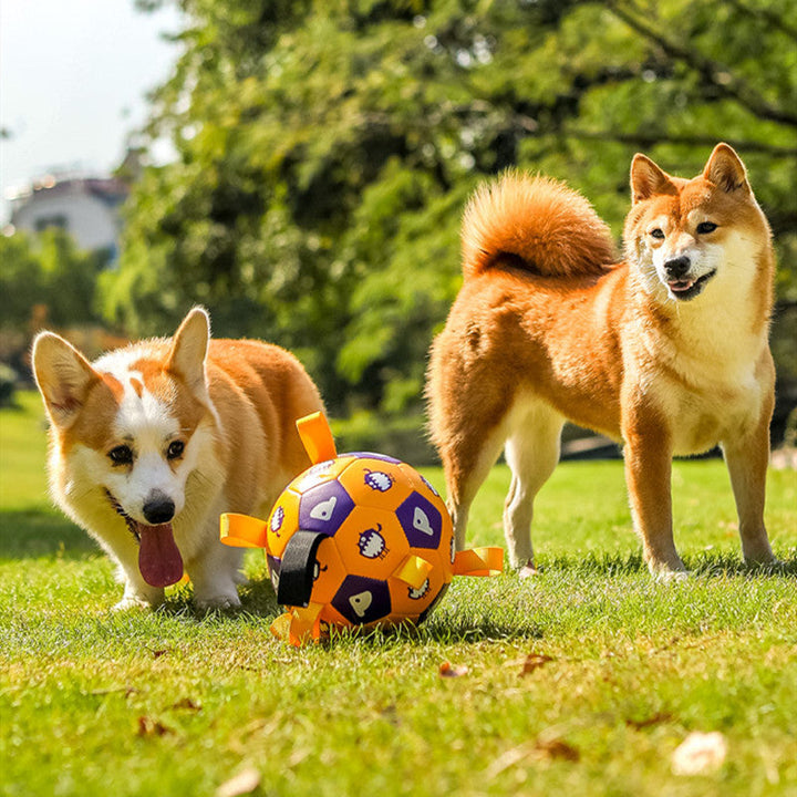 Fun Playtime With Engaging Pet Toys