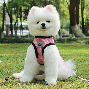 The Essential Pet Car Seat Belt Pet Leash: Safe Travels Await!