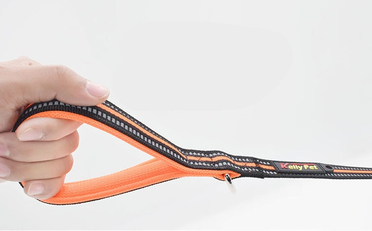 Discover the Ultimate Pet Nylon Leash: A Must-Have for Every Dog Owner