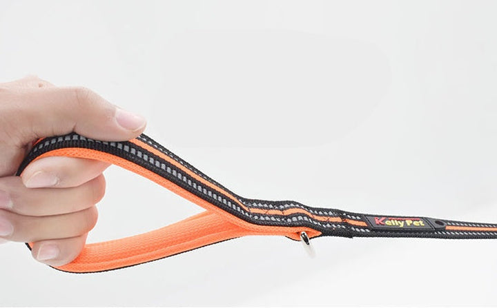 Discover the Ultimate Pet Nylon Leash: A Must-Have for Every Dog Owner