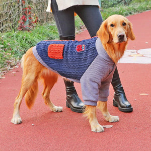 KEEP Stylish Comfort With Pet Clothes